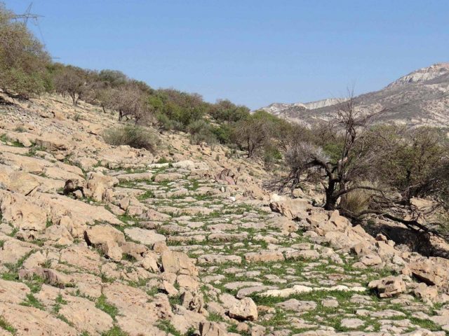 کشف سنگفرش ۱۸۰۰ساله یک‌کیلومتری در ایران