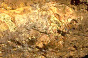 شناسایی معدن طلا در استان خراسان شمالی