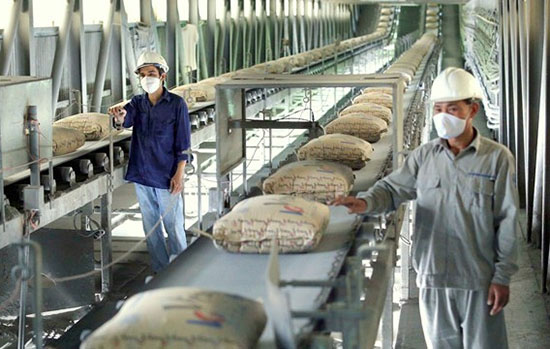 سهم ۱۱ درصدی فارس در صادرات سیمان