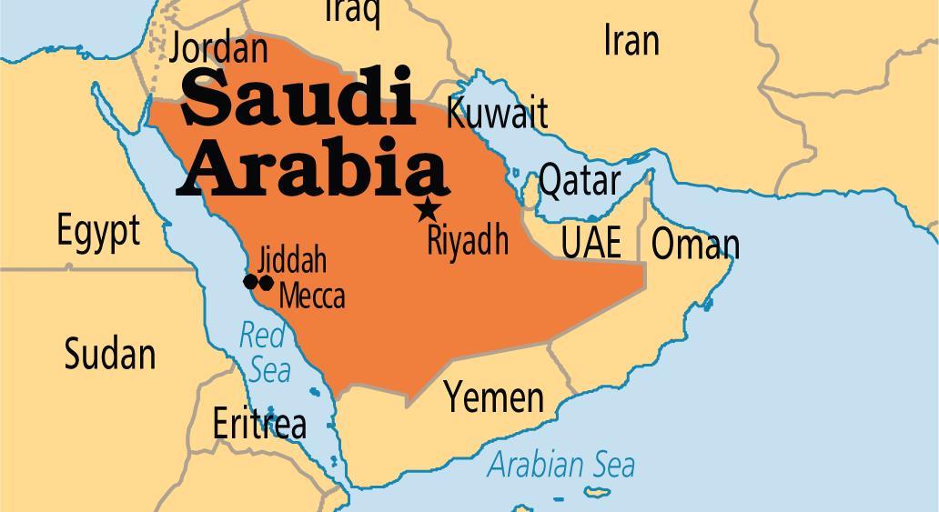 سهم واردات ورق زنگ‌نزن عربستان طی سال‌های اخیر