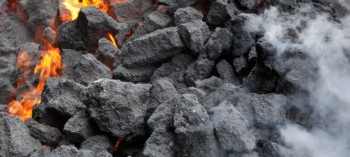 افزایش 4 درصدی قیمت زغال کک‌شو در هفته اخیر