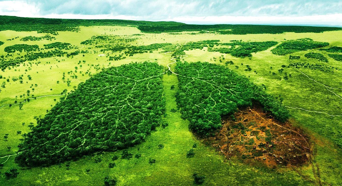 نابودی محیط‌زیست نابودی انسان است