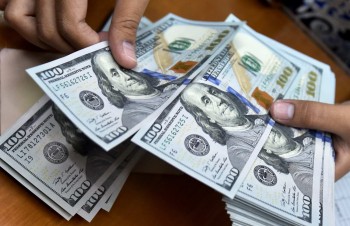 سقوط هزار تومانی دلار در دو روز/ جدایی مسیر سکه از ارز؟