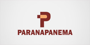 رشد 22 درصدی حجم فروش کمپانی «پاراناپانما»