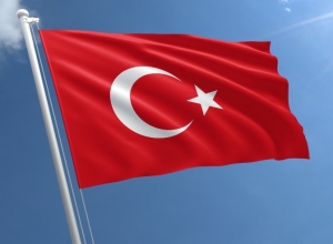 کاهش نرخ بهره در ترکیه/ ریزش لیر