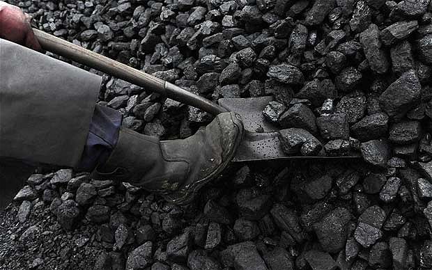 کنسانتره زغال سنگ رتبه اول تولید طی ۵ سال