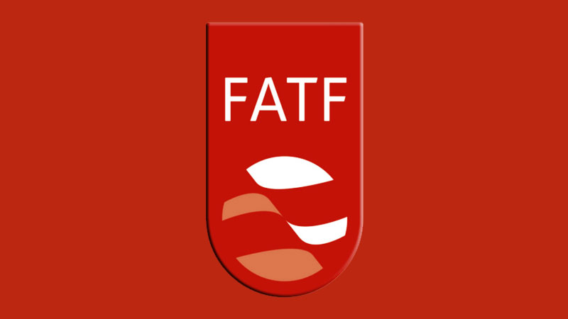 هیچ کشوری در دنیا شفافیت مالی ندارد/ FATF سازوکاری تشریفاتی و دروغین است