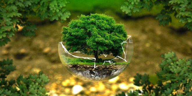 استفاده از ظرفیت محیط‌زیست و منابع طبیعی در توسعه پایدار