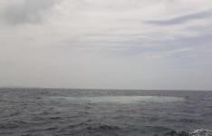 گزارش مقدماتی فوران گل و لای از بستر دریا در سواحل چابهار