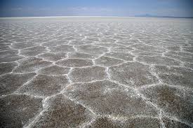 طرح برداشت مواد معدنی از دریاچه نمک انجام خواهد شد