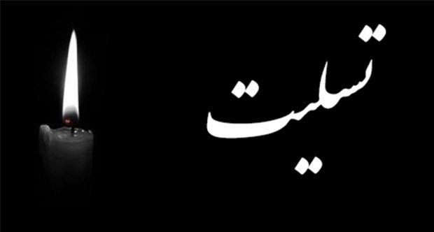 وزیر نفت درگذشت حسین کاظم‌پور اردبیلی را تسلیت گفت