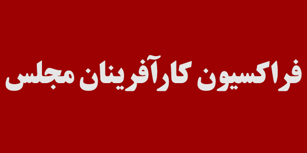 تعیین اعضای هیات رئیسه فراکسیون کارآفرینان مجلس / موسوی لارگانی رئیس شد
