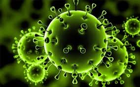 تهیه و تدوین گردشکار شناسایی خطرات و ارزیابی ریسک ویروس کووید 19