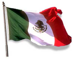 کاهش ۹ درصدی اقتصاد مکزیک