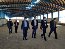 تسریع در ارائه تسهیلات به پروژه انتقال پشم شیشه ایران