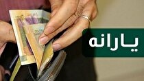 یارانه ریالی به جای حمایت ارزی/ در بازار اقلام اساسی چه می‌گذرد؟