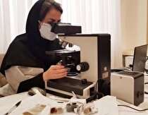 طرح تحول زمین‌شناسی و اکتشاف ذخایر معدنی در خراسان‌جنوبی (مطالعات پالئونتولوژی)