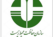 مخالفت تلویحی وزیر جهاد کشاورزی با ادغام سازمان محیط زیست و سازمان جنگل‌ها