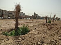 عملیات ایجاد کمربند فضای سبز میان فولاد خوزستان و مجموعه بنکداران اهواز