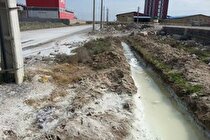 سلاخی محیط‌زیست به بهانه کسب و کار