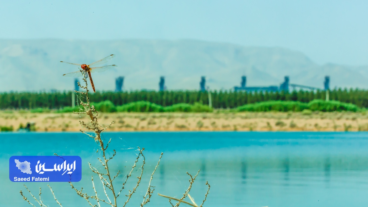 فولاد مبارکه پیشتاز در مصرف بهینه آب/دستیابی فولاد مبارکه به کمترین میزان مصرف آب در یک تن تولید در بین رقبای داخلی و خارجی