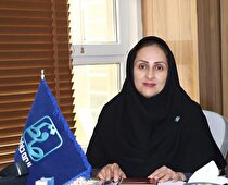 حرفه ای‌گری، ترمیم‌کننده توسعه صنعت بیمه
