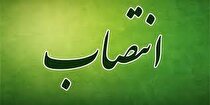 انتصاب‌های جدید در وزارت نیرو