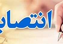 سرپرست صندوق بازنشستگی کشوری منصوب شد