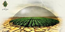 تحقق ۹۸ درصدی برنامه بیمه طیور توسط صندوق بیمه کشاورزی