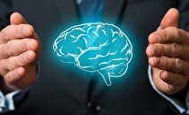 حقوق مالکیت فکری محصولات دانش بنیان و خلاق با کمک مجلس محقق می‌شود