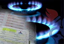 دولت وسایل برقی و گازی راندمان بالا را با قیمت ارزان به مردم بدهد/ زمان مناسب برای حذف یارانه پرمصرف‌ها