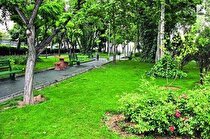 ایجاد ۵۰۰ هکتار فضای سبز به همت فولاد خوزستان