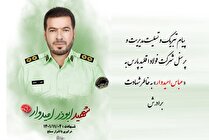 برادر نیروی حراستی شرکت فولاد اقلید پارس شهید شد
