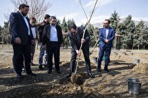 کاشت ۴۰ اصله نهال توسط مدیرعامل و کارکنان صندوق ضمانت سرمایه‌گذاری صنایع کوچک
