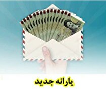 یارانه برای یارانه نگرفته‌ها محفوظ است/ توضیحات وزیر کار
