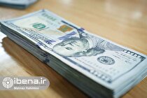 بخشی از یارانه ارز دولتی به جیب تولیدکننده خارجی می‌رفت