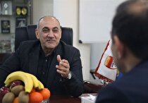 یک مدیرعامل دیگر نامزد حضور در هیات رئیسه فدراسیون فوتبال شد