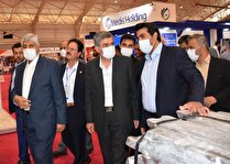 نمایشگاه «تولید ایرانی دانش‌بنیان» در فارس برگزار شد