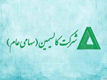 آیا سود فاسمین در ۶ ماهه اول افزایش یافت؟