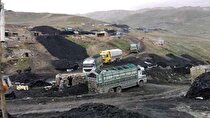 توزیع ۴۰۰ هزار تن زغال سنگ ارزان در کابل آغاز شد