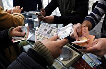 مجلس طرفدار تعطیلی فعالیت صرافی‌ها است/ شناخت تیم اقتصادی دولت از واقعیت‌های بازار کم است