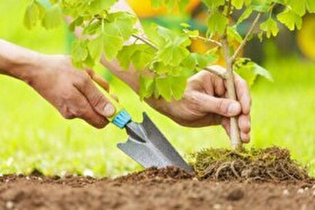 کلنگ‌زنی عملیات کاشت ۳۰۰ هکتاری بذر دیم با مشارکت فولاد مبارکه