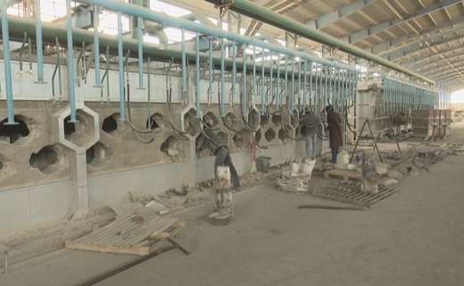 غبار تعطیلی بر تن بزرگترین کارخانه شمش منیزیم خاورمیانه