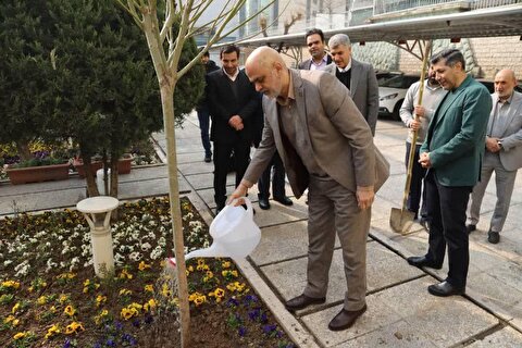 برگزاری آیین درختکاری توسط مدیرعامل و مدیران شرکت ملی صنایع مس ایران