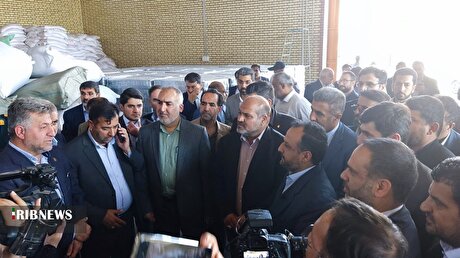 قانون تعیین کننده ساز و کار گمرک در ترخیص کالا