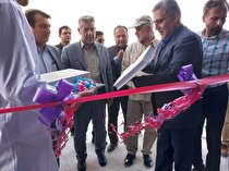 بزرگترین کارخانه کربنات کلسیم رسوبی خاورمیانه در شهرستان دشتی افتتاح شد
