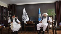 تشکیل کمیته مشترک برای تسریع استخراج معادن افغانستان