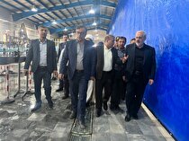 بازدید وزیر صمت از ۲ کارخانه تولیدی و صنعتی/ تاکید علی آبادی بر به کارگیری نیرو‌های بومی در صنایع