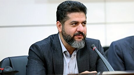 استقلال اتاق ایران، ماهیت بخش خصوصی است