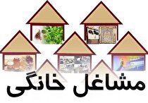 تشکیل ۱۹ تعاونی استانی تامین نیاز مشاغل خانگی